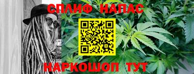 СК Будённовск