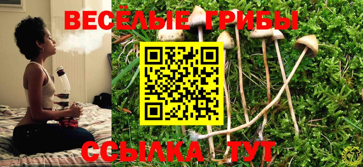Галлюциногенные грибы прущие грибы Майский